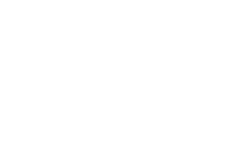 compass wm 1